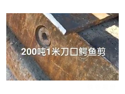 200吨1米刀囗鳄鱼剪，1万多块钱图5